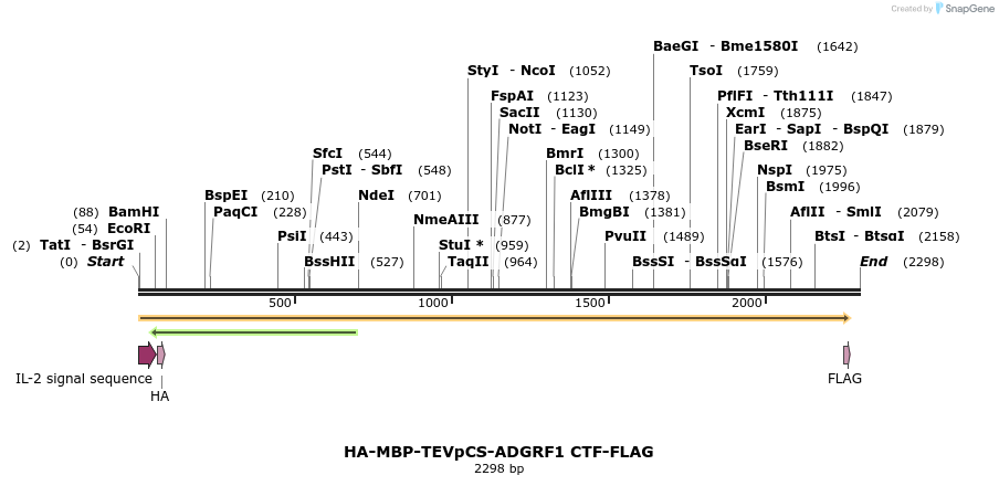 424442_map