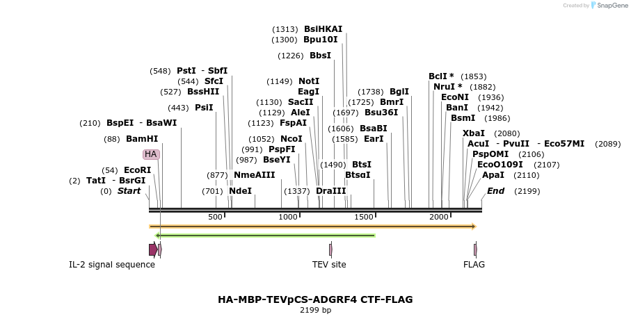 424445_map