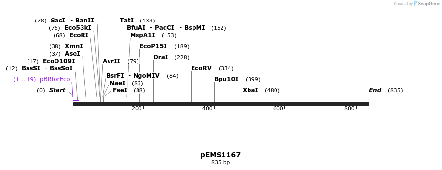 42445_map