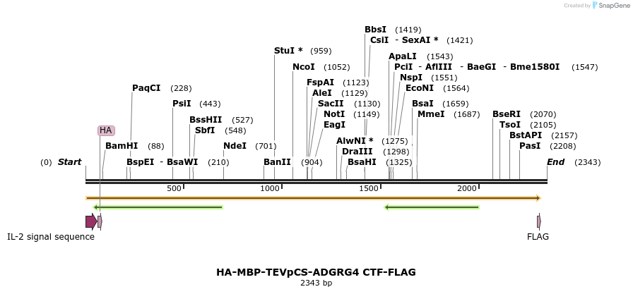 424450_map