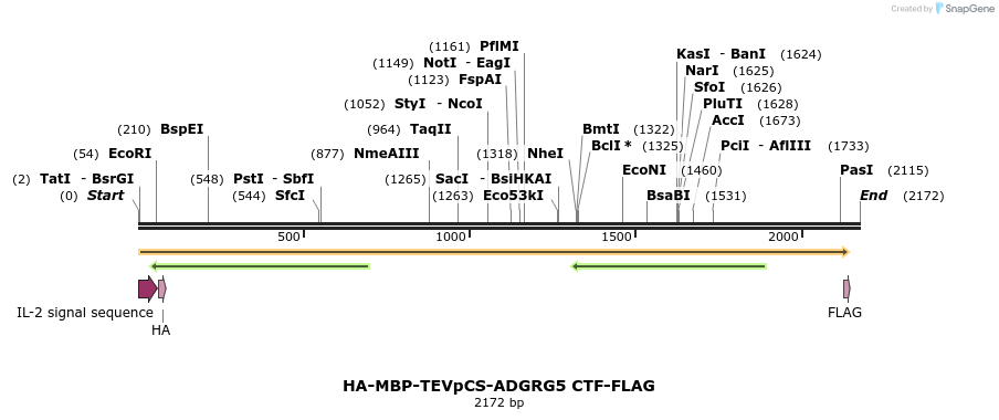 424451_map