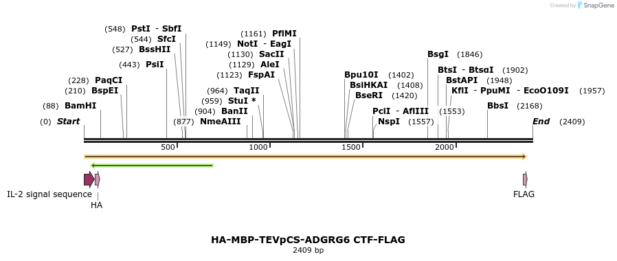 424452_map