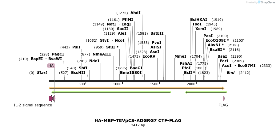 424453_map