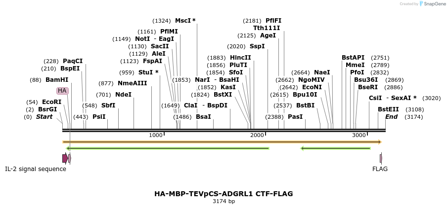 424454_map