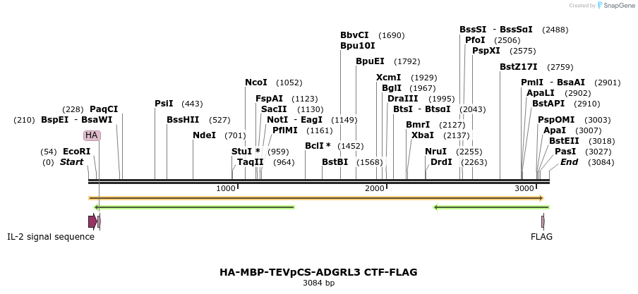 424456_map