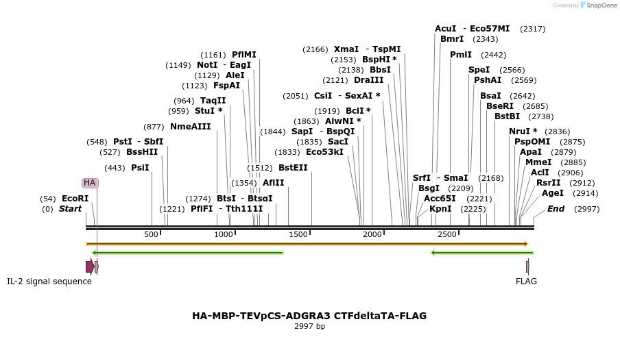 424461_map
