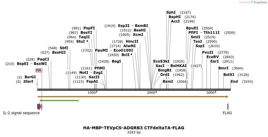 424464_map