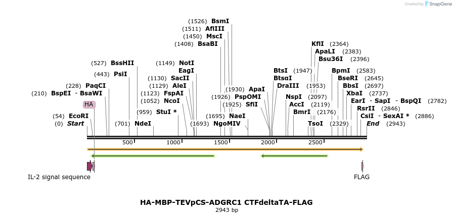 424465_map