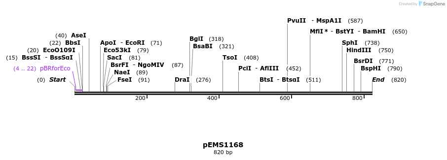42447_map