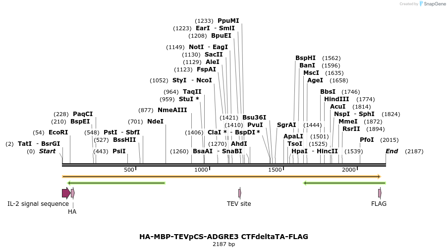 424472_map