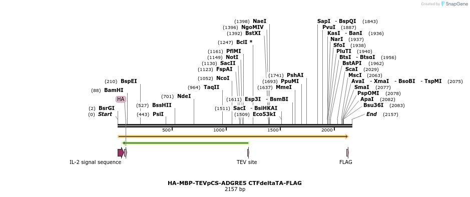 424474_map