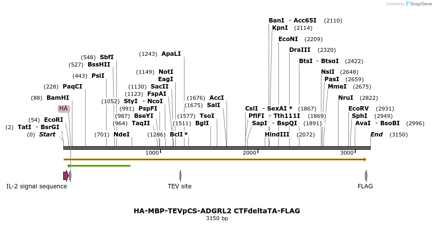 424488_map