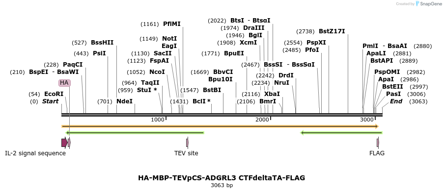 424489_map
