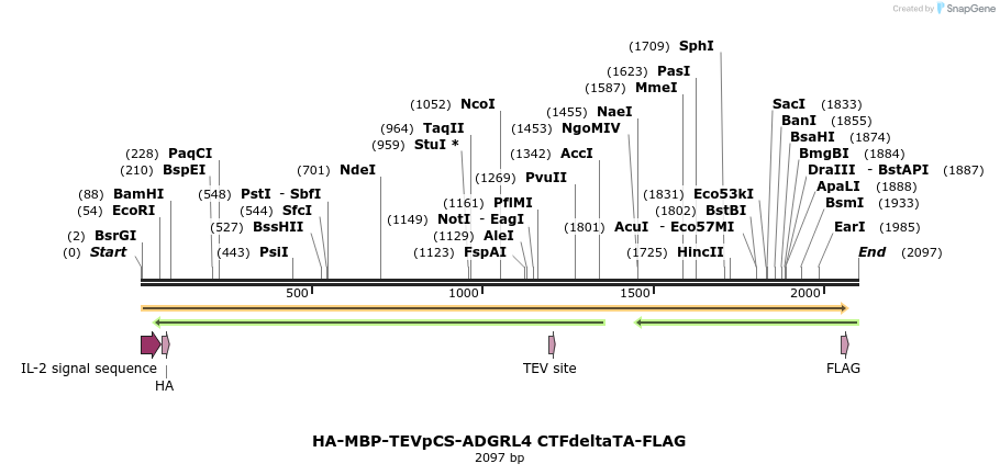 424490_map
