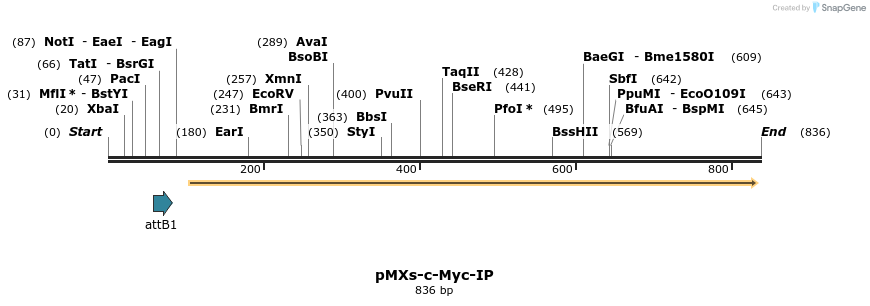 42450_map