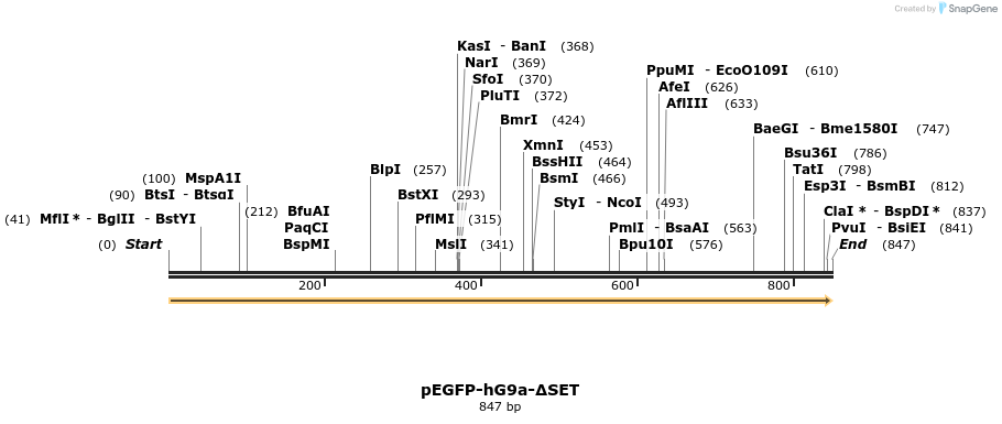 42455_map