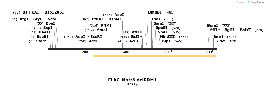 42456_map