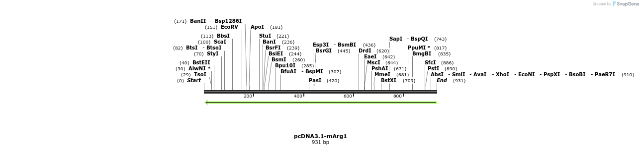 42459_map