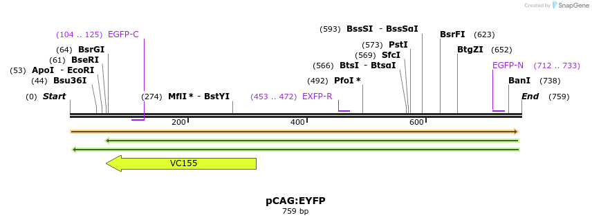 42460_map