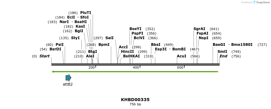 42461_map