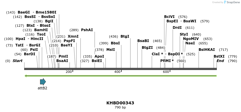 42463_map