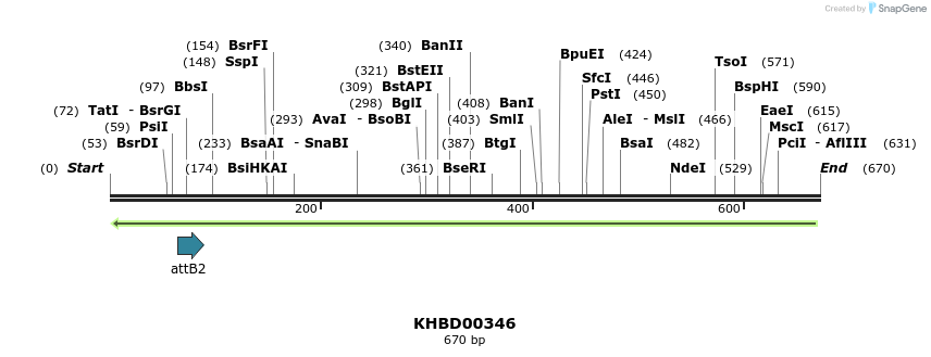 42464_map