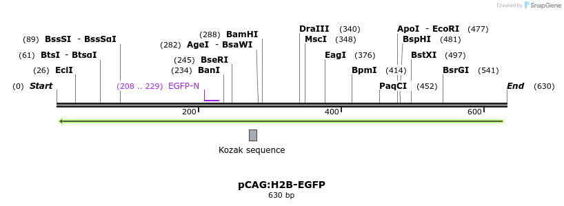 42465_map