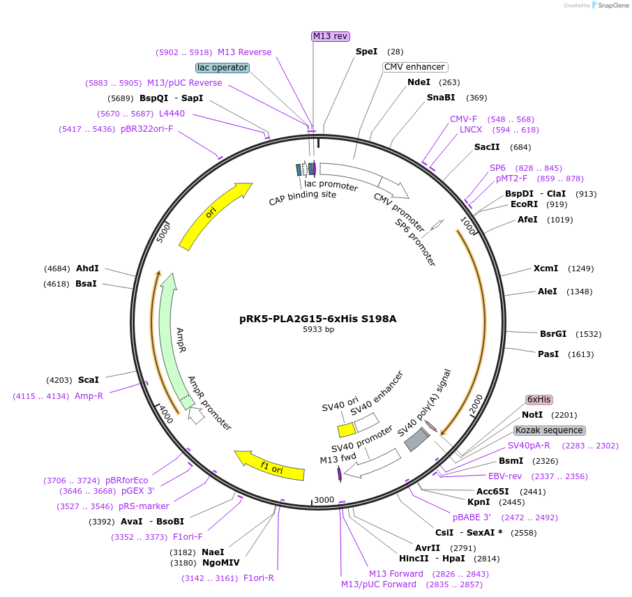 424659_map