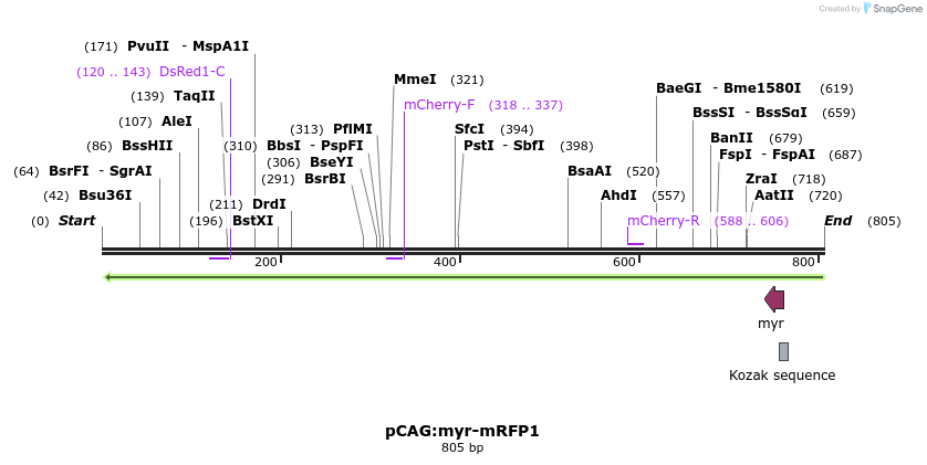 42472_map