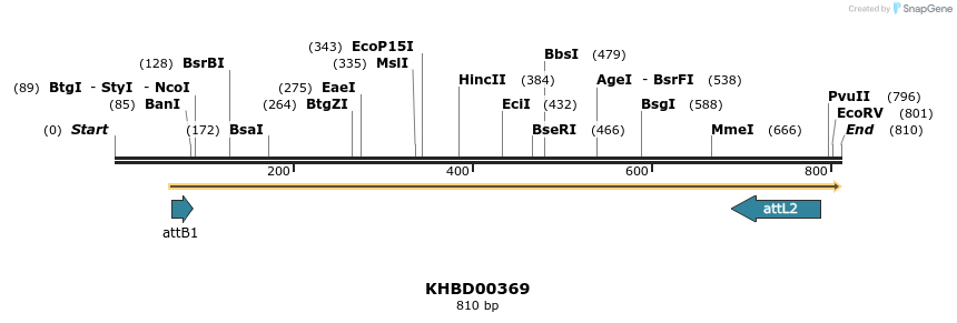 42473_map