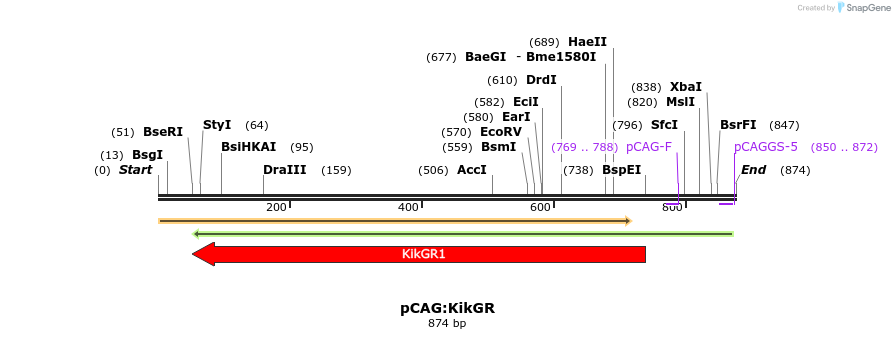 42474_map