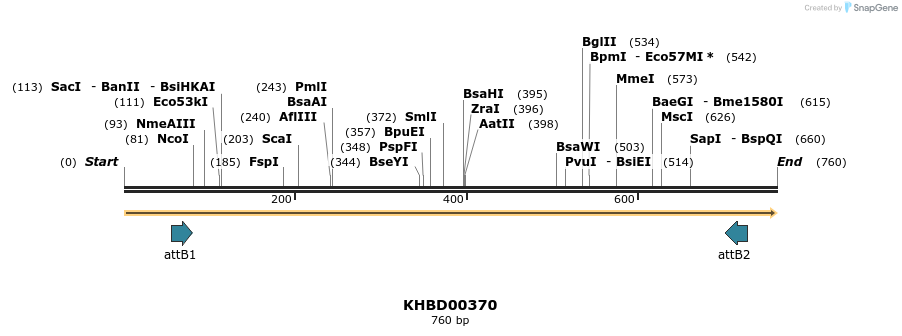 42475_map