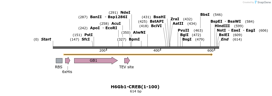 424767_map