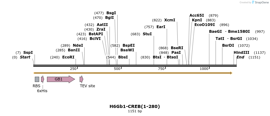 424768_map
