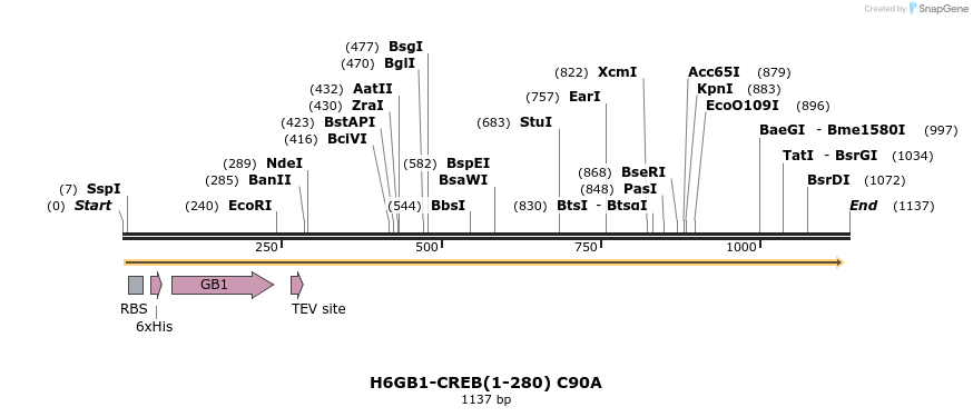 424769_map