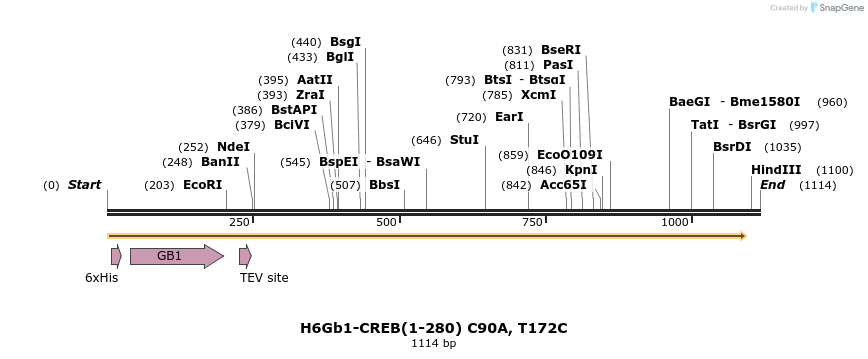 424770_map