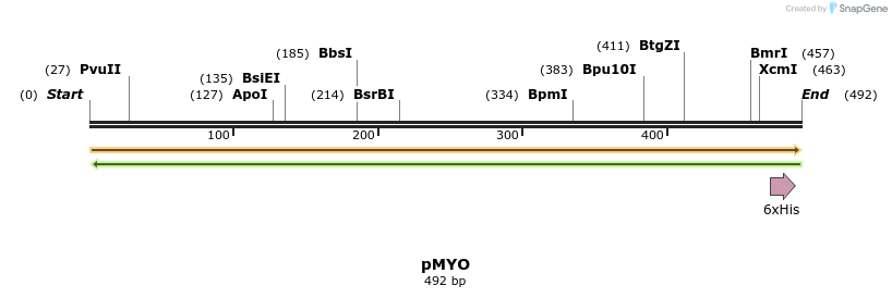 42479_map