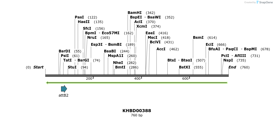42480_map