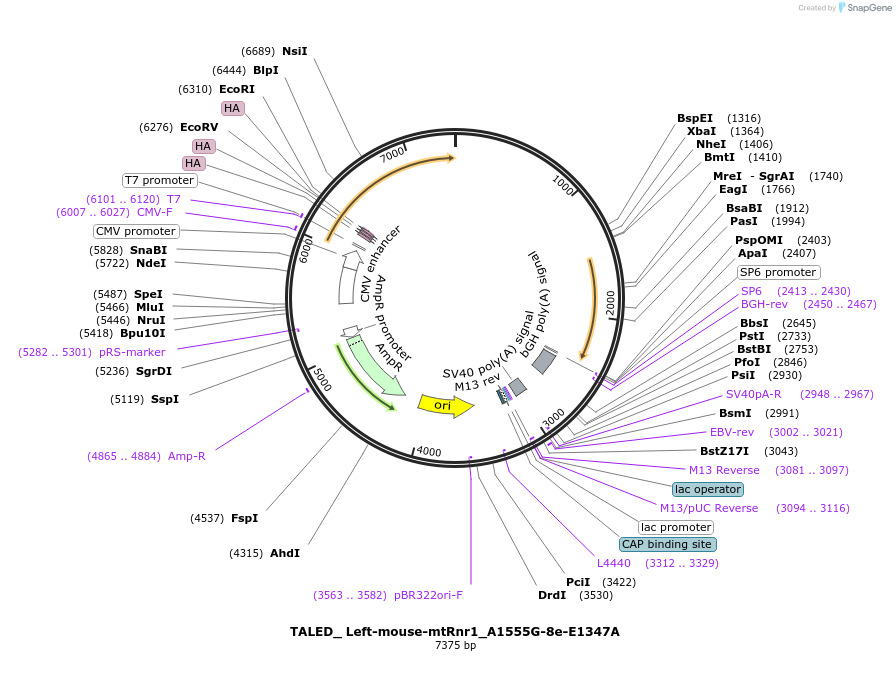 424807_map