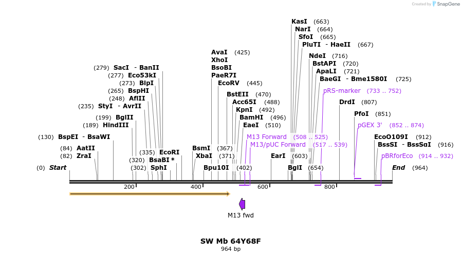 42495_map