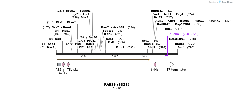 42497_map