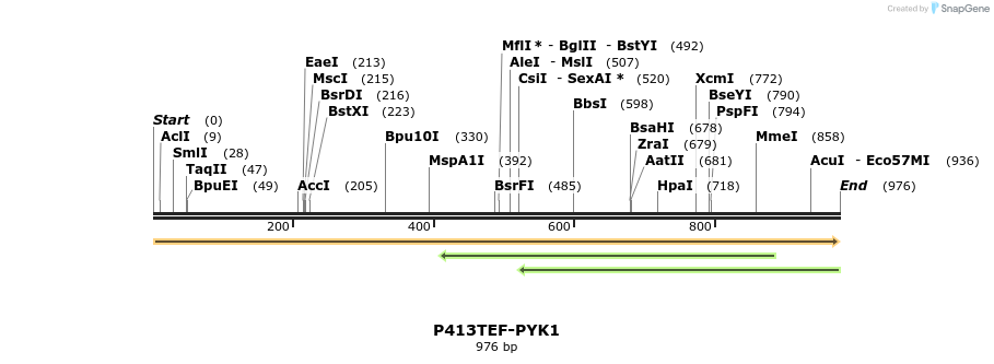 42499_map