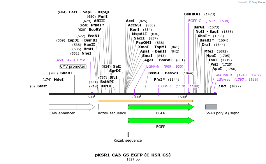 424999_map