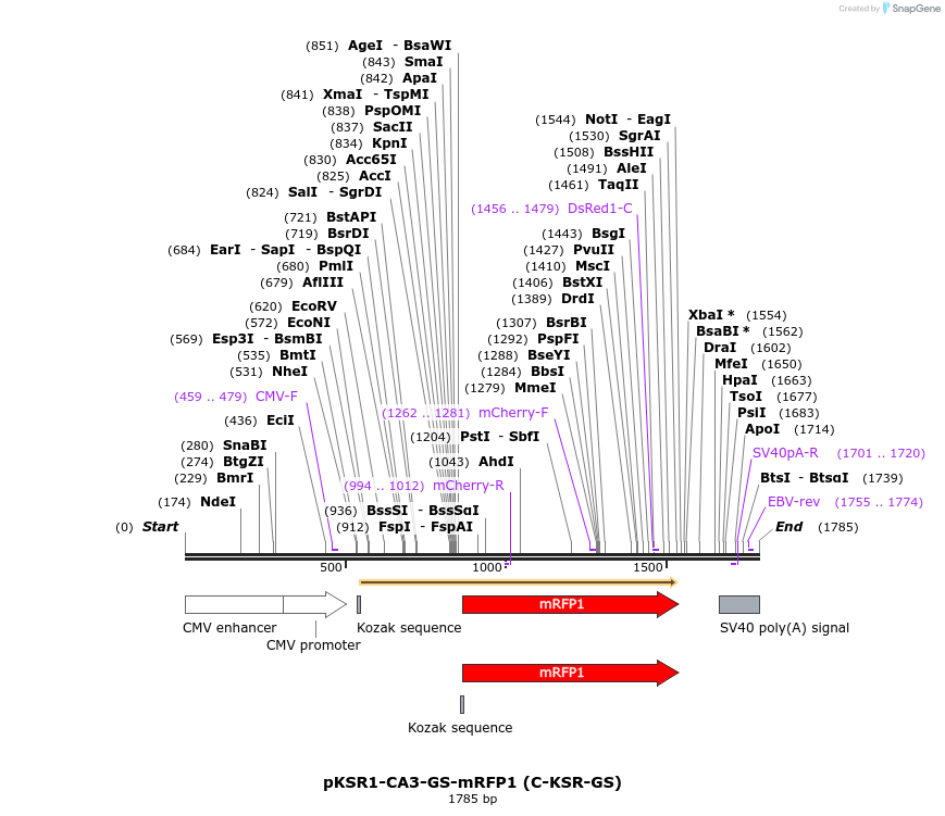 425004_map