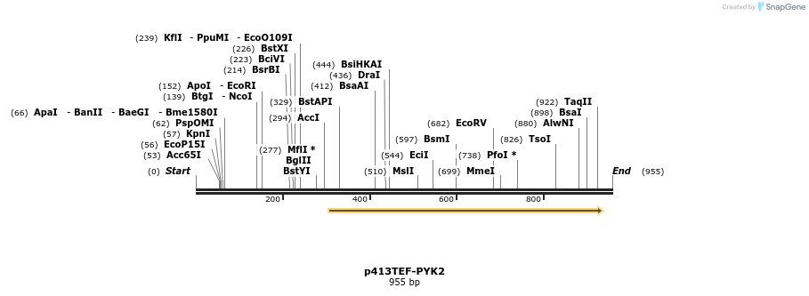 42501_map