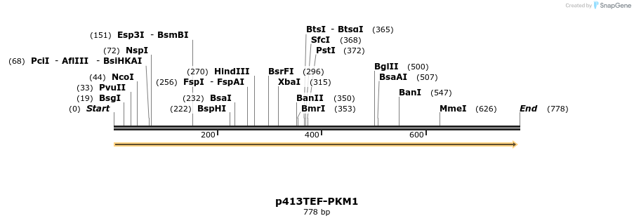 42503_map