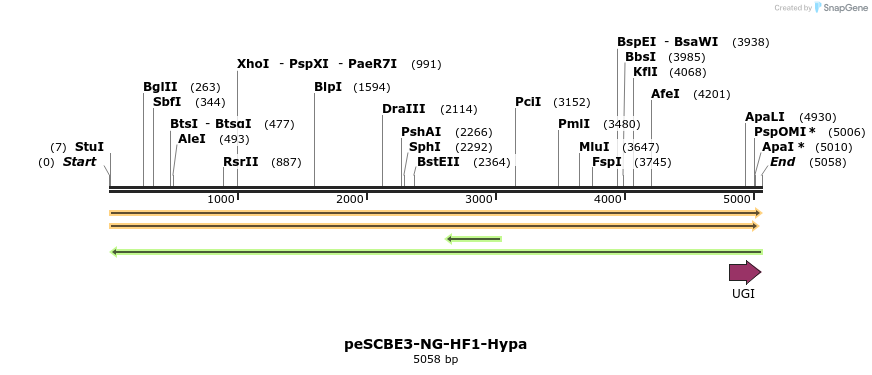425043_map