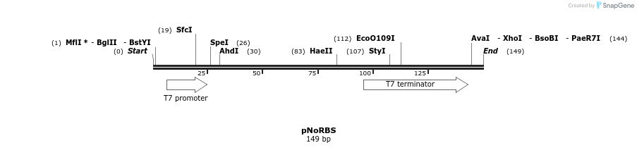 425045_map