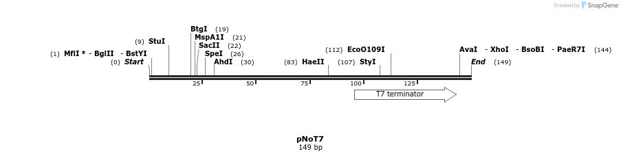 425047_map