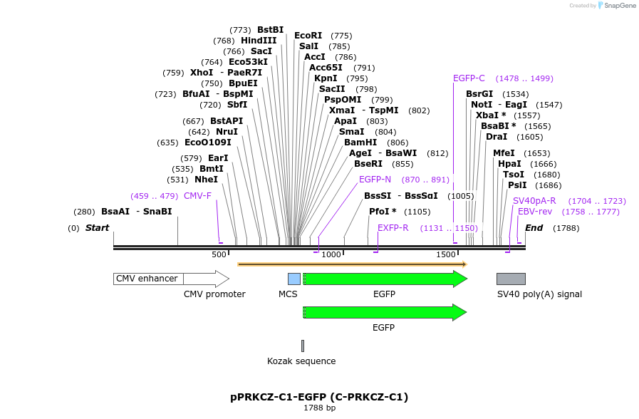 425057_map